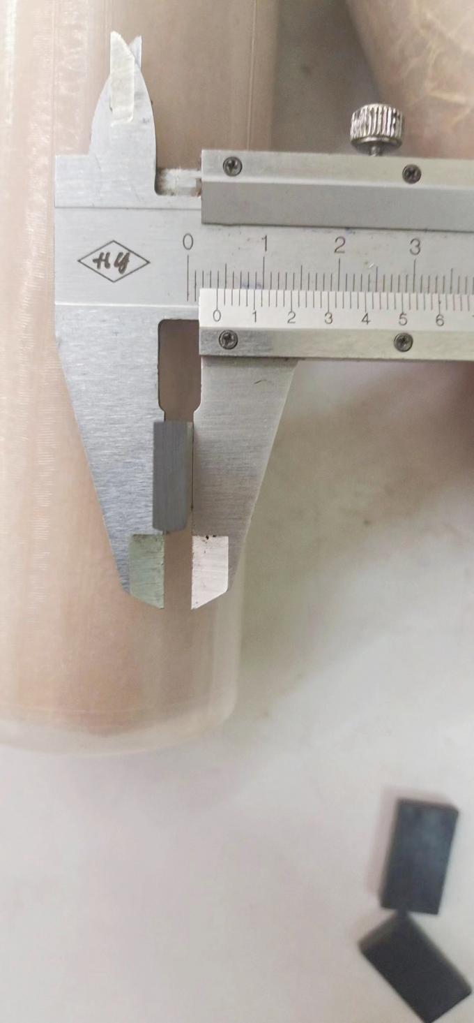 Điện DC Motor Chủ chổi than Lắp ráp XIN YOU Lõi bơm 5L chống gỉ 1
